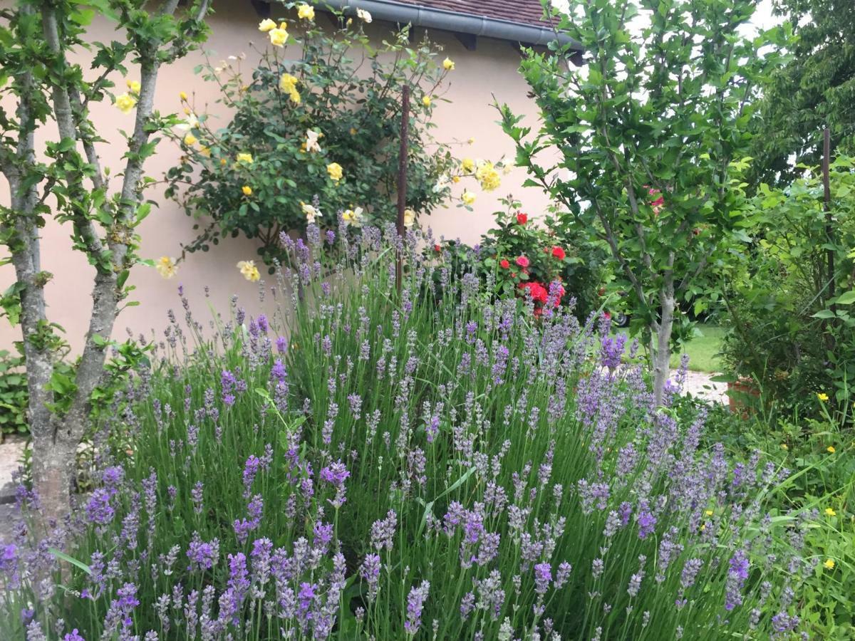 Chantilly ,Petit Dejeuner Et Table D'Hotes Possible Noyers  Luaran gambar